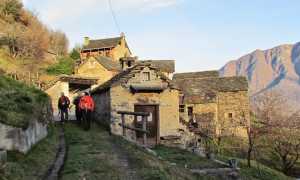 IMG 56992