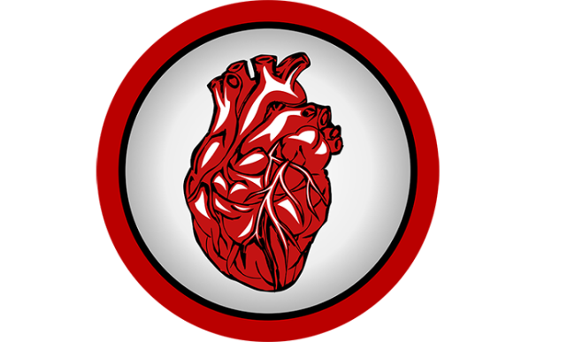 cuore medicina